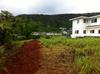 2556 Kalihi St
 Honolulu HI 96819