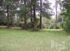 812 Gull Point Rd
 Wilmington NC 28405