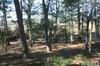  Ginguite Trail
 Southern Shores NC 27949