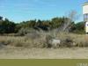 57438 Lighthouse Road
 Hatteras NC 27943