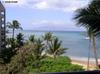 4327 L. Honoapiilani Rd.
 Lahaina HI 96761