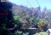 320 Iao Valley Rd
 Wailuku HI 96793