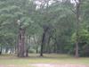 83 Summer Duck Lane, Pawleys Island SC 29585