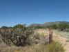 1111 NM 344, Edgewood NM 87015