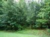 104 Watersedge Road, Greenwood SC 29649