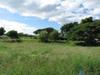 2979 Pua Alani Pl.
 KOLOA HI 96756