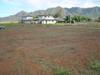  Maka'a-Pikake Subdv
 LIHUE HI 96766