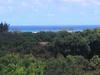  Kanaele Rd
 KAPAA HI 96746