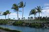 690180 Waikoloa Beach Dr
 WAIKOLOA HI 96738