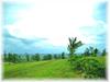 2656 Kapoli St
 KEALIA HI 96751