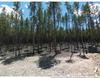 Discovery Hill DR, BRECKENRIDGE CO 80424
