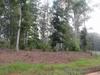 117 Yellow Fin Court
 Greer SC 29651