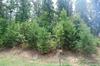 4 Marsala Court
 Greenville SC 29609