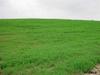 RFD Louisville, Louisville NE 68037