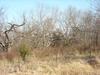 Interstate 20, Wills Point TX 75169